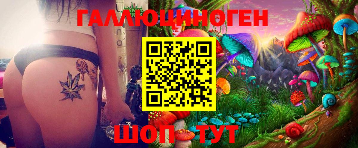 Псилоцибиновые грибы Psilocybe Полевской