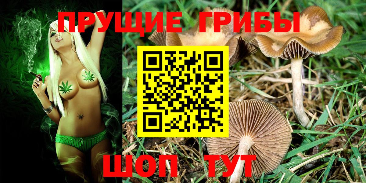 Полевской  Псилоцибиновые грибы прущие грибы  где можно купить наркотик  Вход с VPN 